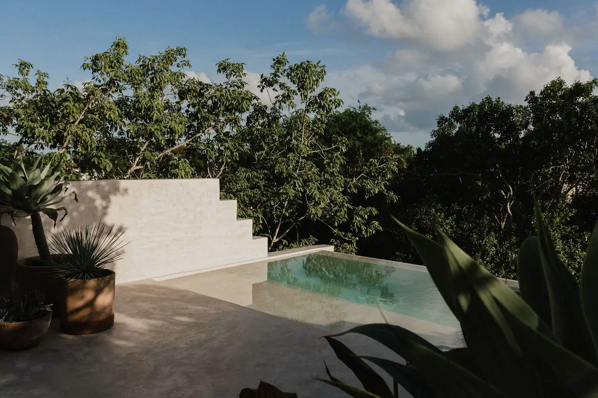 Altar — pool surrounded by jungle